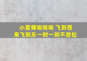 小蜜蜂嗡嗡嗡 飞到西来飞到东一时一刻不放松